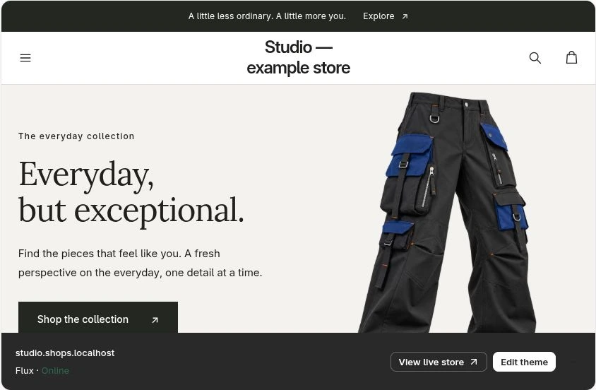 Actual vlundr online store screen with example data